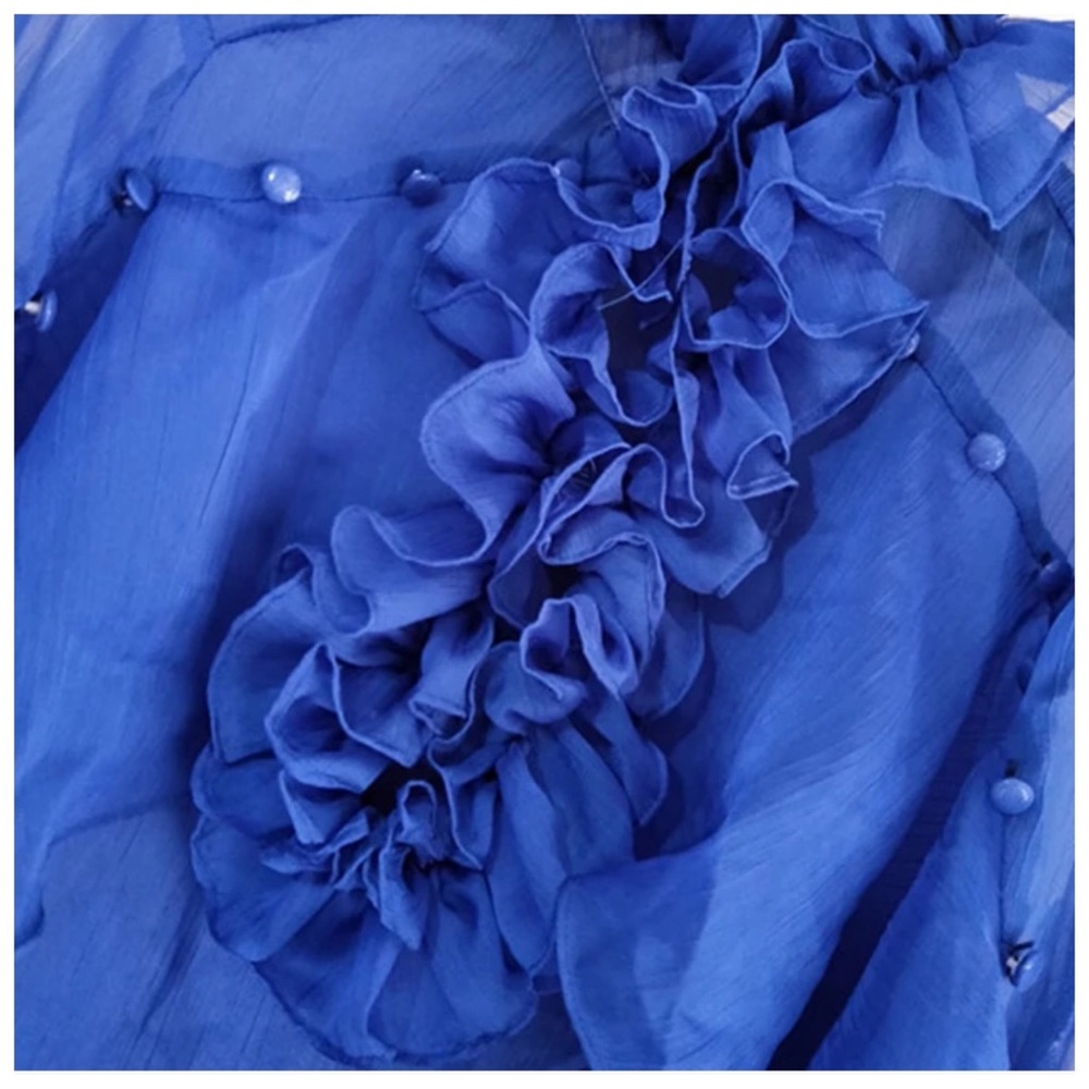 Gorgeous Blue & Black Ruffle Sheer Top - Picture 7 of 8